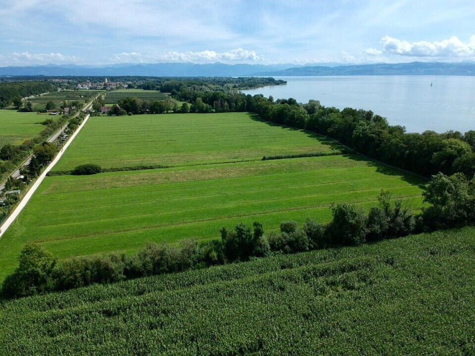 Ferien-Apartment Silberweide Mit Privatstrand FDH 외부 사진